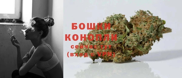 гидра Арсеньев