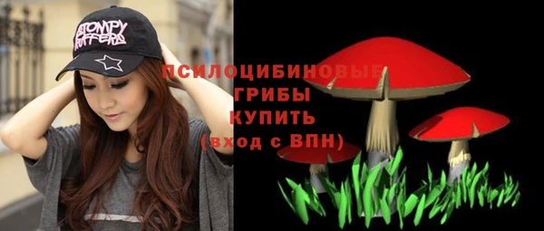 гидра Арсеньев