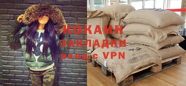 гидра Арсеньев